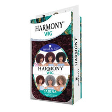 Load image into Gallery viewer, Shake-N-Go Wig Harmony - Sabina
