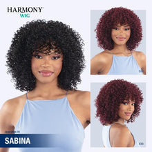 Load image into Gallery viewer, Shake-N-Go Wig Harmony - Sabina
